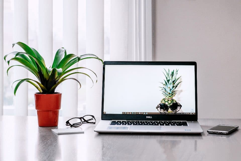 A laptop on a white desk next to a potted plant
